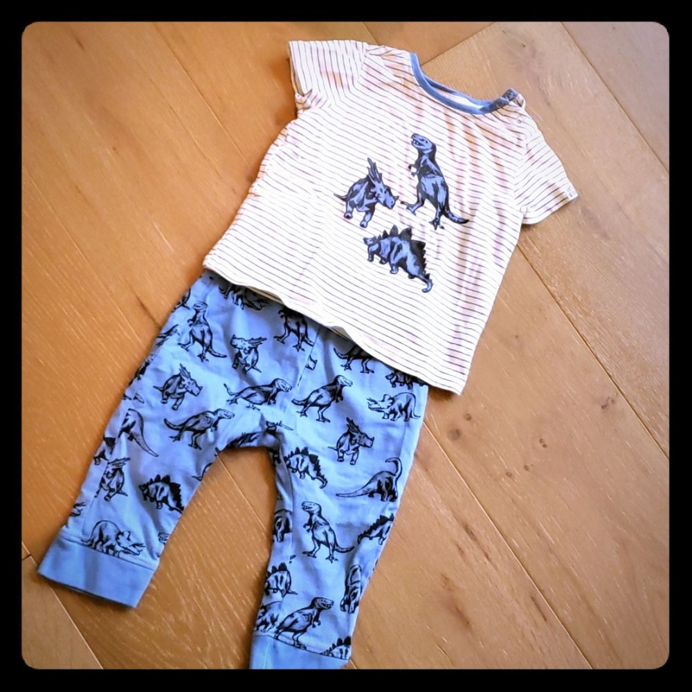 Dinosaur matching set